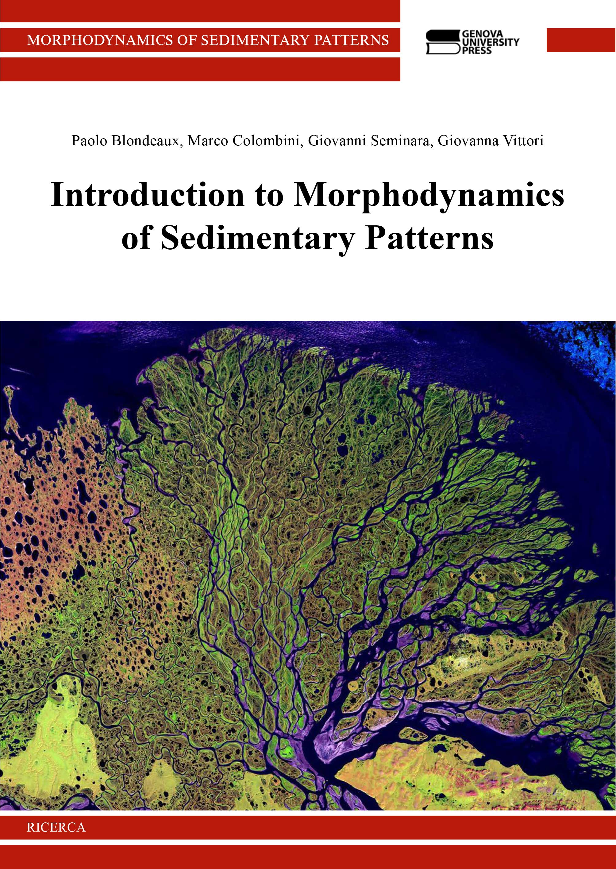 Introduction to Morphodynamics of Sedimentary Patterns - copertina
