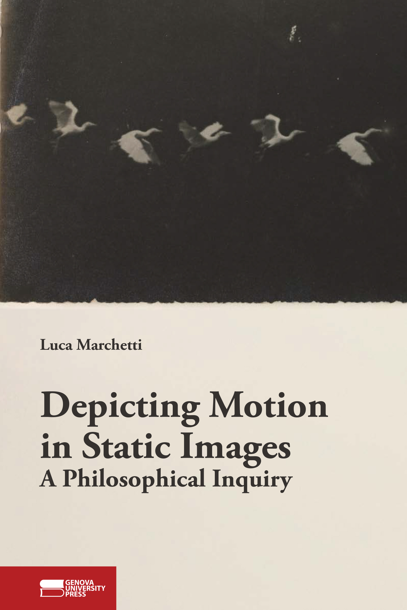 Depicting Motion in Static Images - copertina