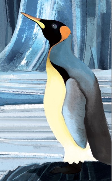 Il pinguino reale