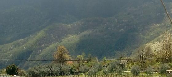 La «rinascita» dei territori marginali news