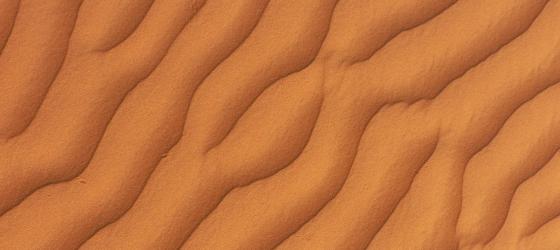 Antropologi tra le righe - notizia