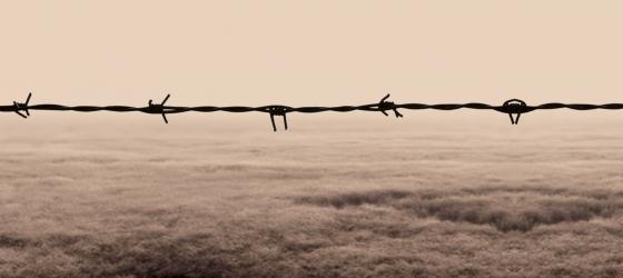 Cultural Mediation in Refugee and Migrant Protection - notizia