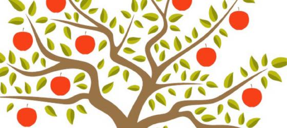 Il curriculum nazionale per la Scuola di Specializzazione in Chirurgia Pediatrica - notizia