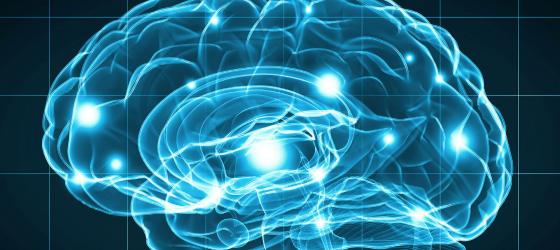 Galassia Neuroscienze - notizia